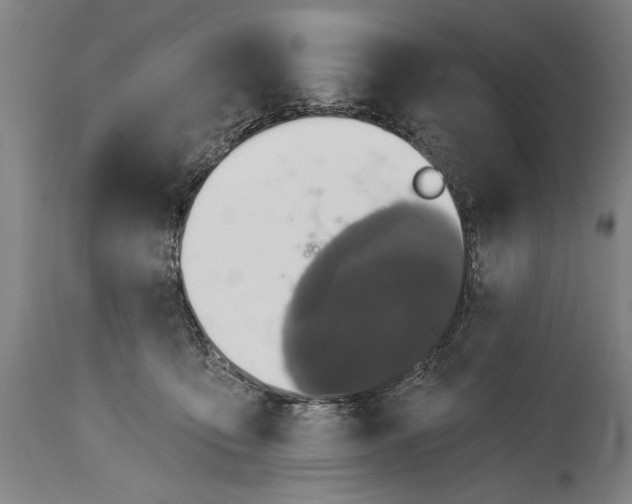 X0000115430419200911181505