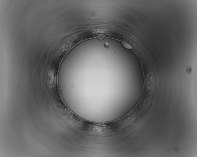 X0000115430420200911181505