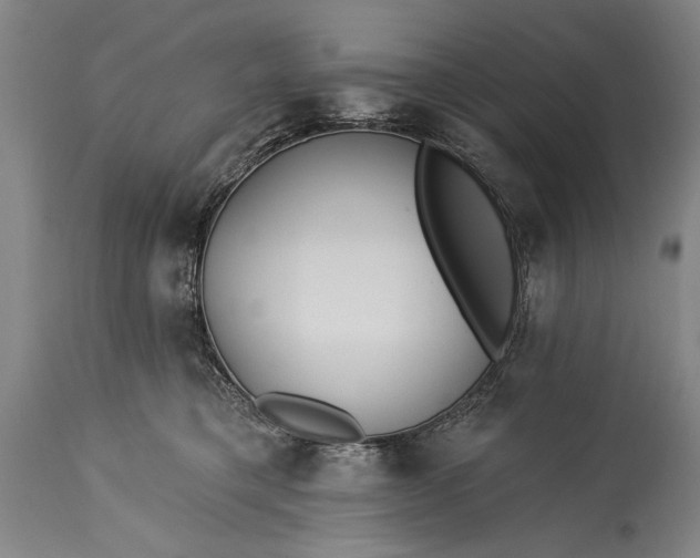 X0000115430421200911181505