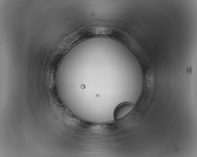 X0000115430422200911181505