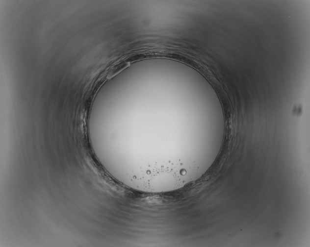 X0000115430423200911181505