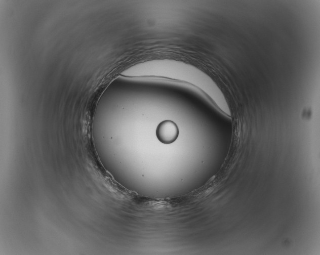 X0000115430424200911181505