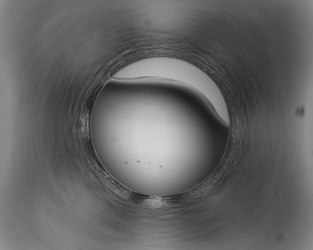 X0000115430425200911181505