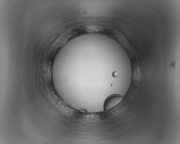 X0000115430426200911181505