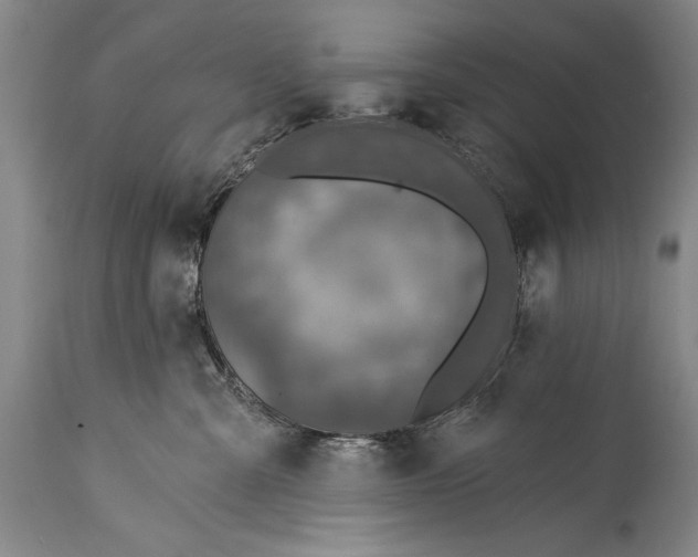 X0000115430427200911181505