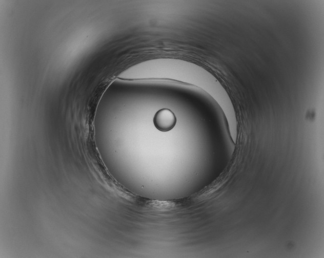 X0000115430429200911181505