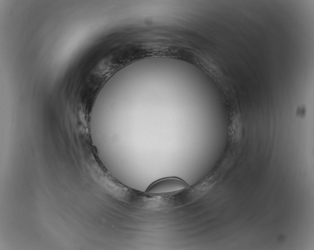 X0000115430430200911181505