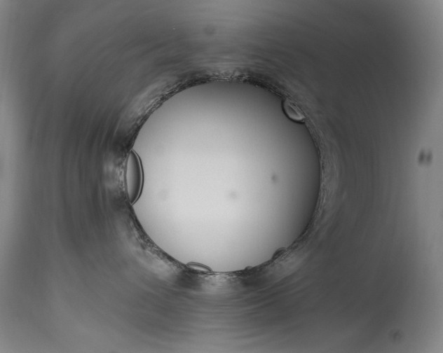 X0000115430432200911181505