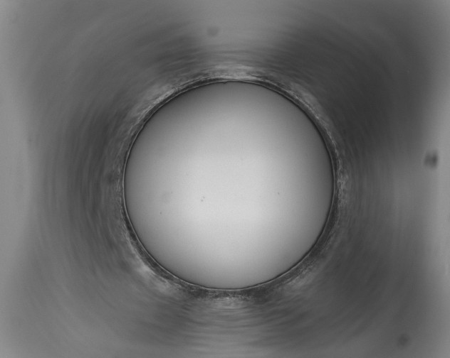 X0000115430433200911181504