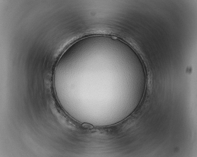 X0000115430434200911181504