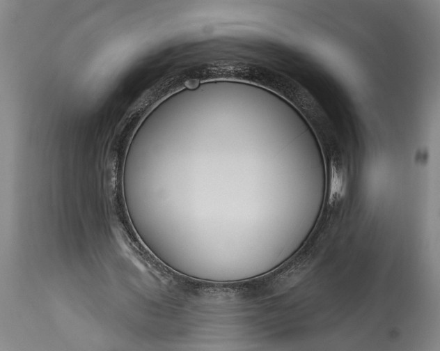 X0000115430435200911181504