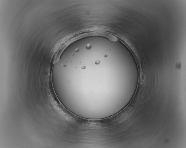 X0000115430437200911181504