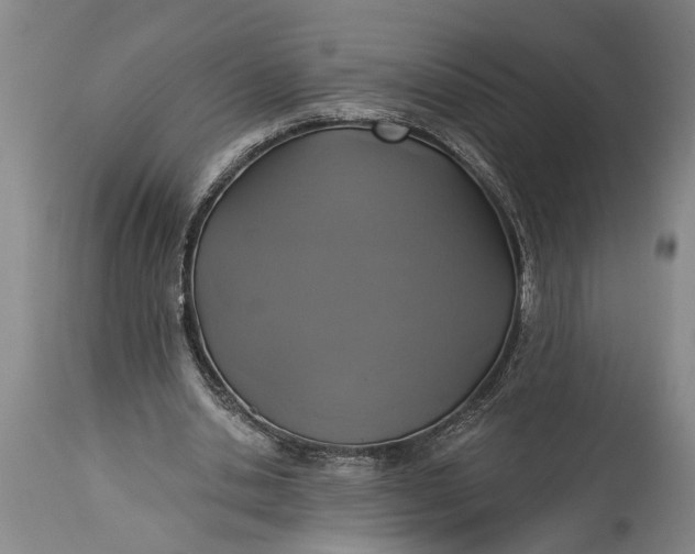 X0000115430438200911181504