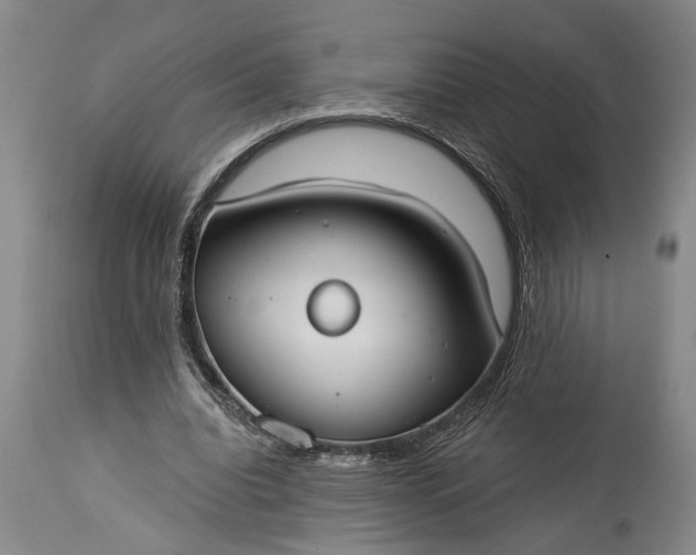 X0000115430440200911181504