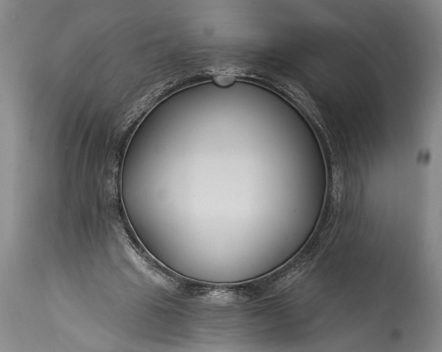 X0000115430441200911181504