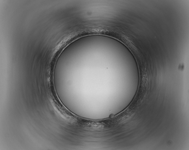 X0000115430443200911181504