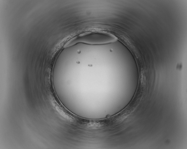 X0000115430445200911181504