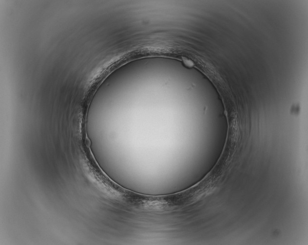 X0000115430446200911181504