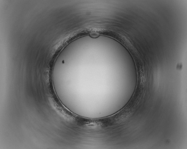 X0000115430447200911181504