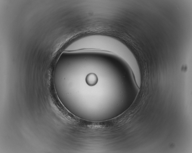 X0000115430448200911181504