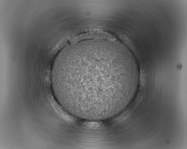 X0000115430449200911181504