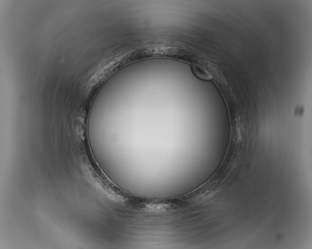 X0000115430450200911181504