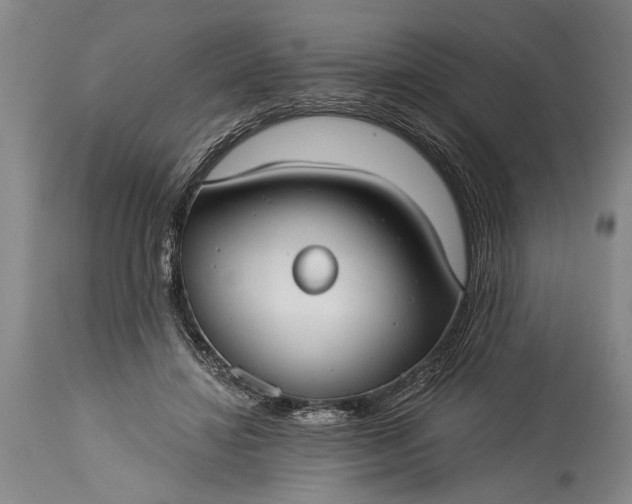 X0000115430452200911181504