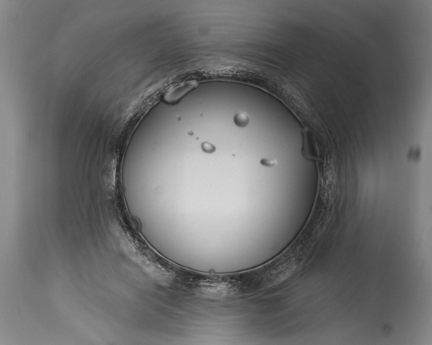 X0000115430454200911181504