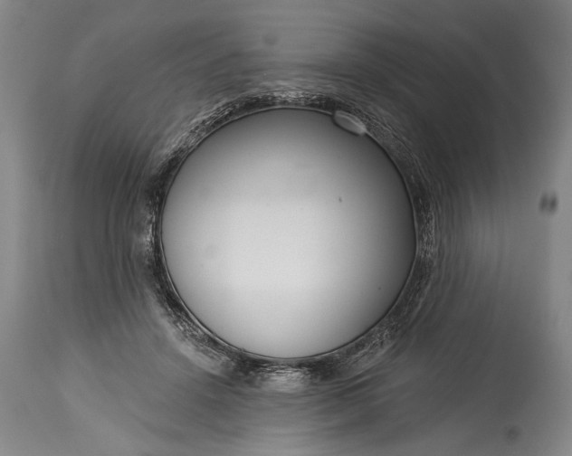 X0000115430456200911181504