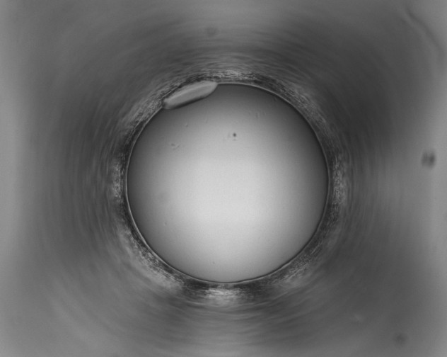 X0000115430457200911181505