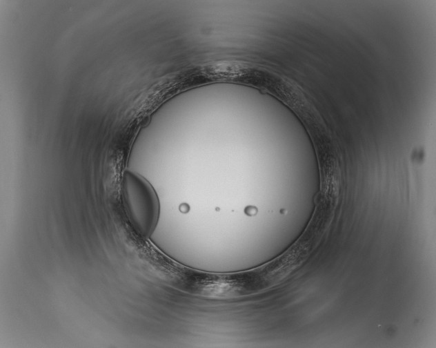 X0000115430460200911181505