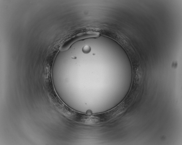 X0000115430463200911181505