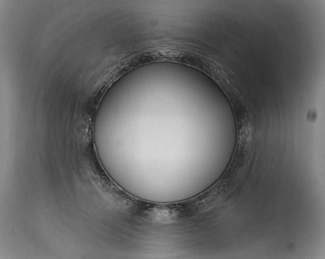 X0000115430464200911181505