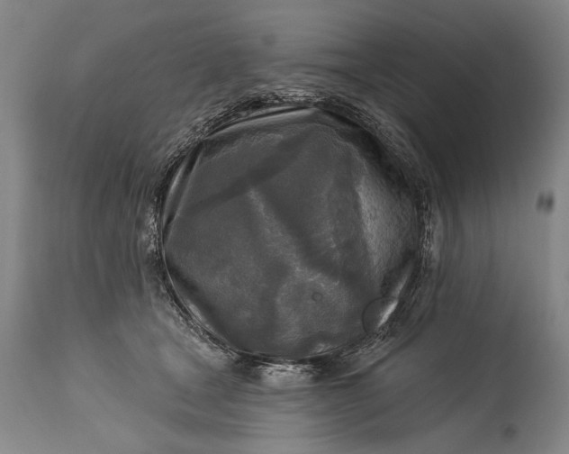 X0000115430465200911181505