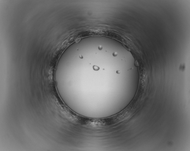 X0000115430466200911181505