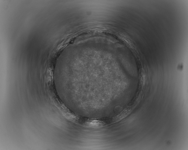 X0000115430467200911181505