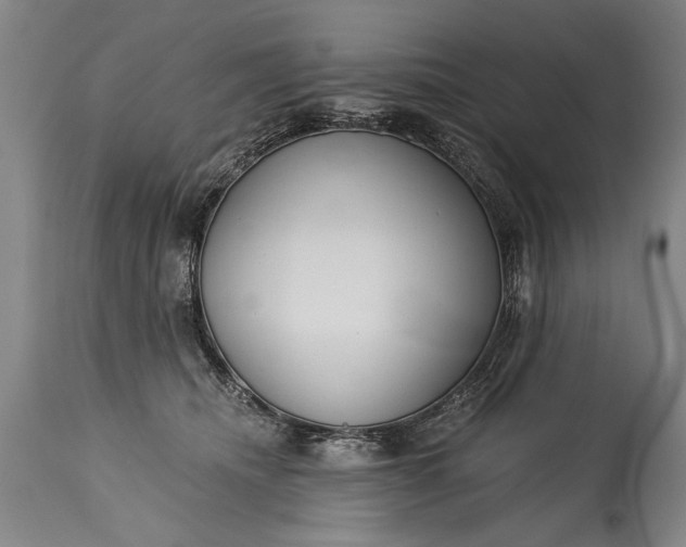 X0000115430468200911181505