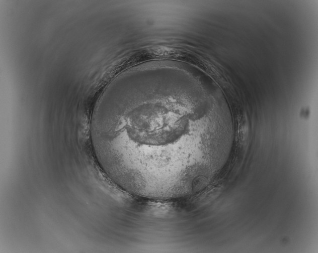 X0000115430469200911181505