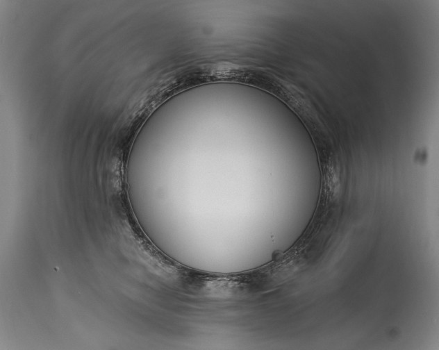 X0000115430470200911181505