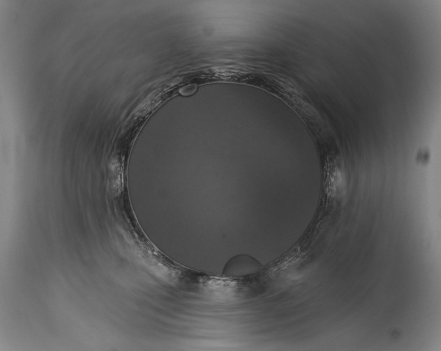 X0000115430471200911181505