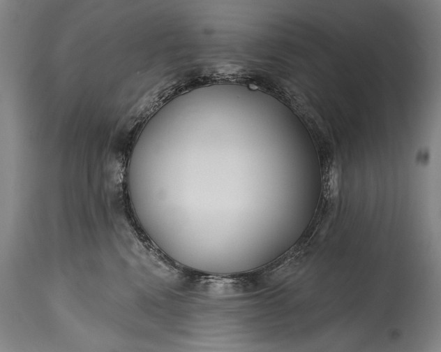 X0000115430472200911181505