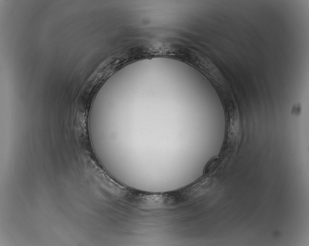 X0000115430473200911181505