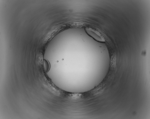 X0000115430474200911181505