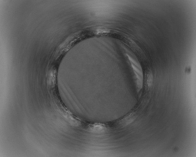 X0000115430475200911181505