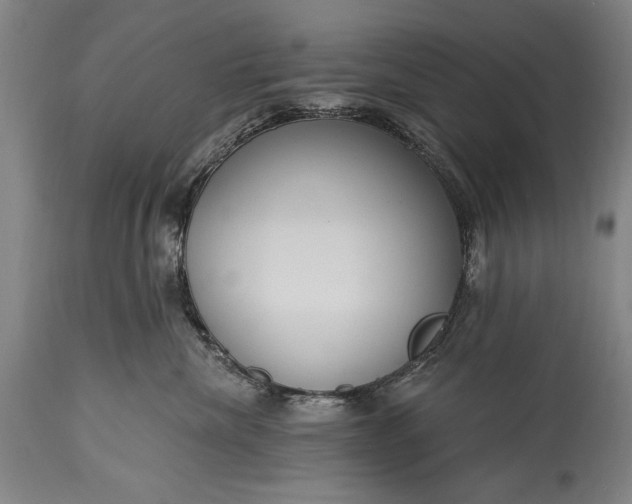 X0000115430476200911181505