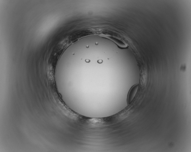 X0000115430477200911181505