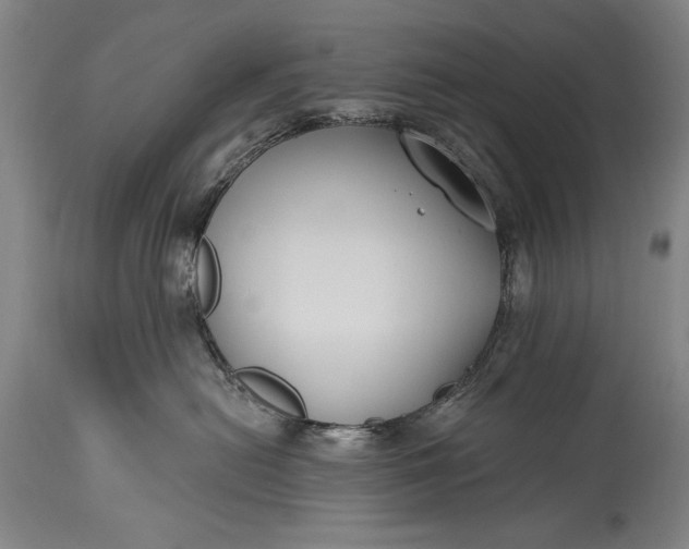 X0000115430478200911181505