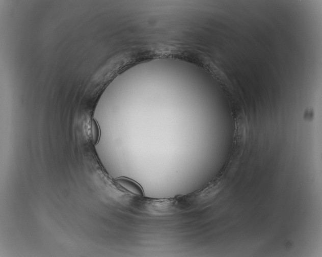 X0000115430479200911181505