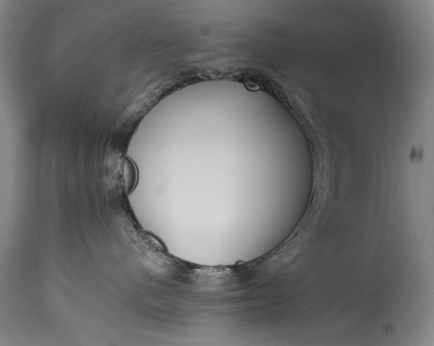 X0000115430480200911181505