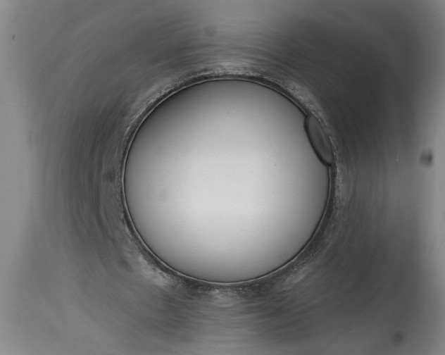 X0000115430481200911181504